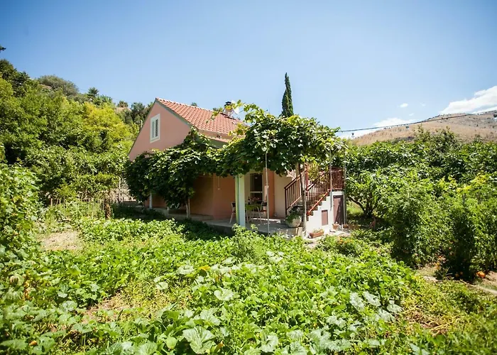 House Next To The River Miro Seoska kuća
